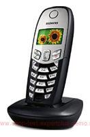 Siemens Gigaset C45