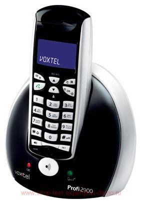 Voxtel Profi 2900