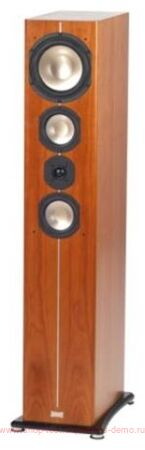ASW Cantius 604
