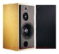 ATC SCM100 SL